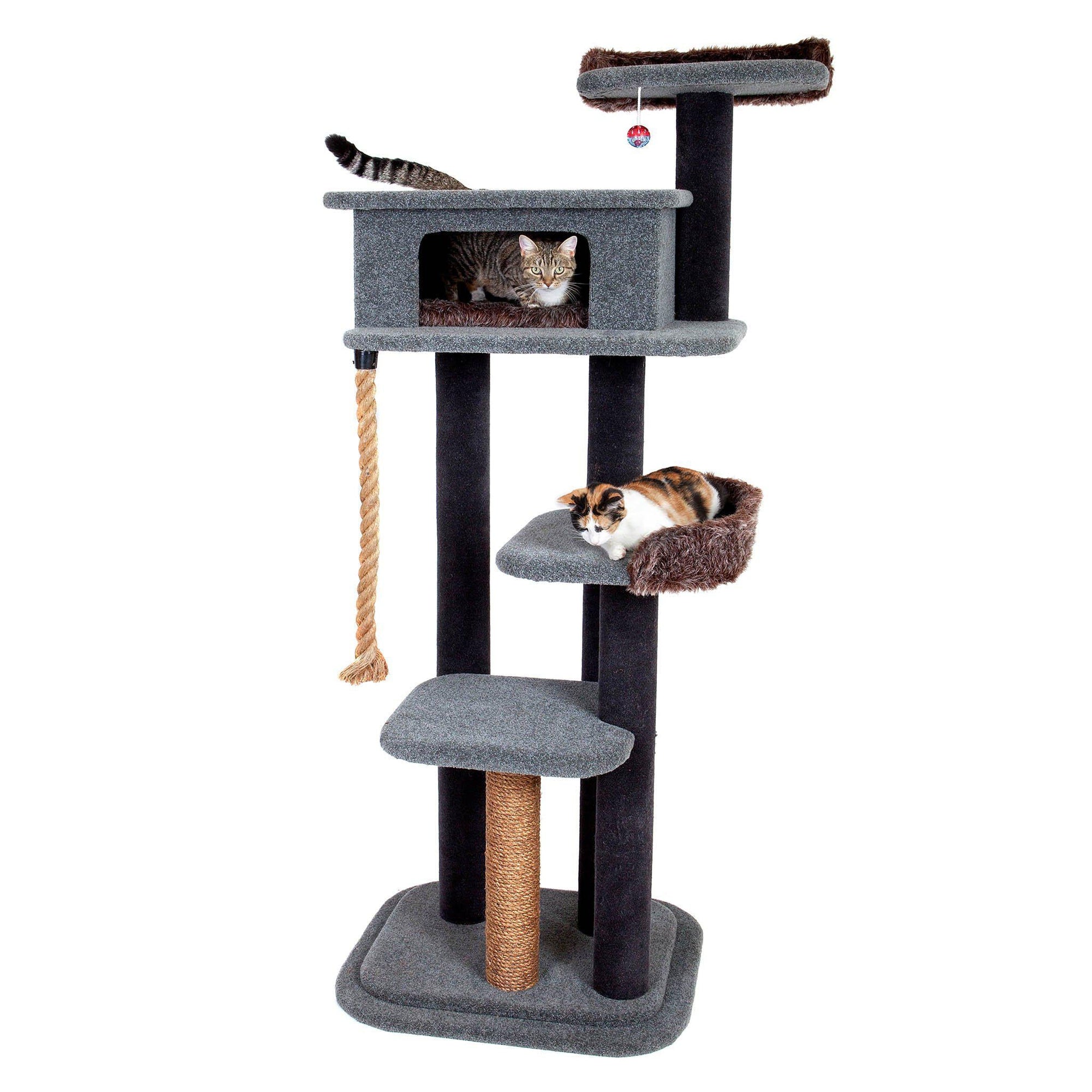 KatAttack New Yorker - ComfyPet Products