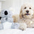 Patchwork Dog Pastel Koala 8 Inch - ComfyPet Products