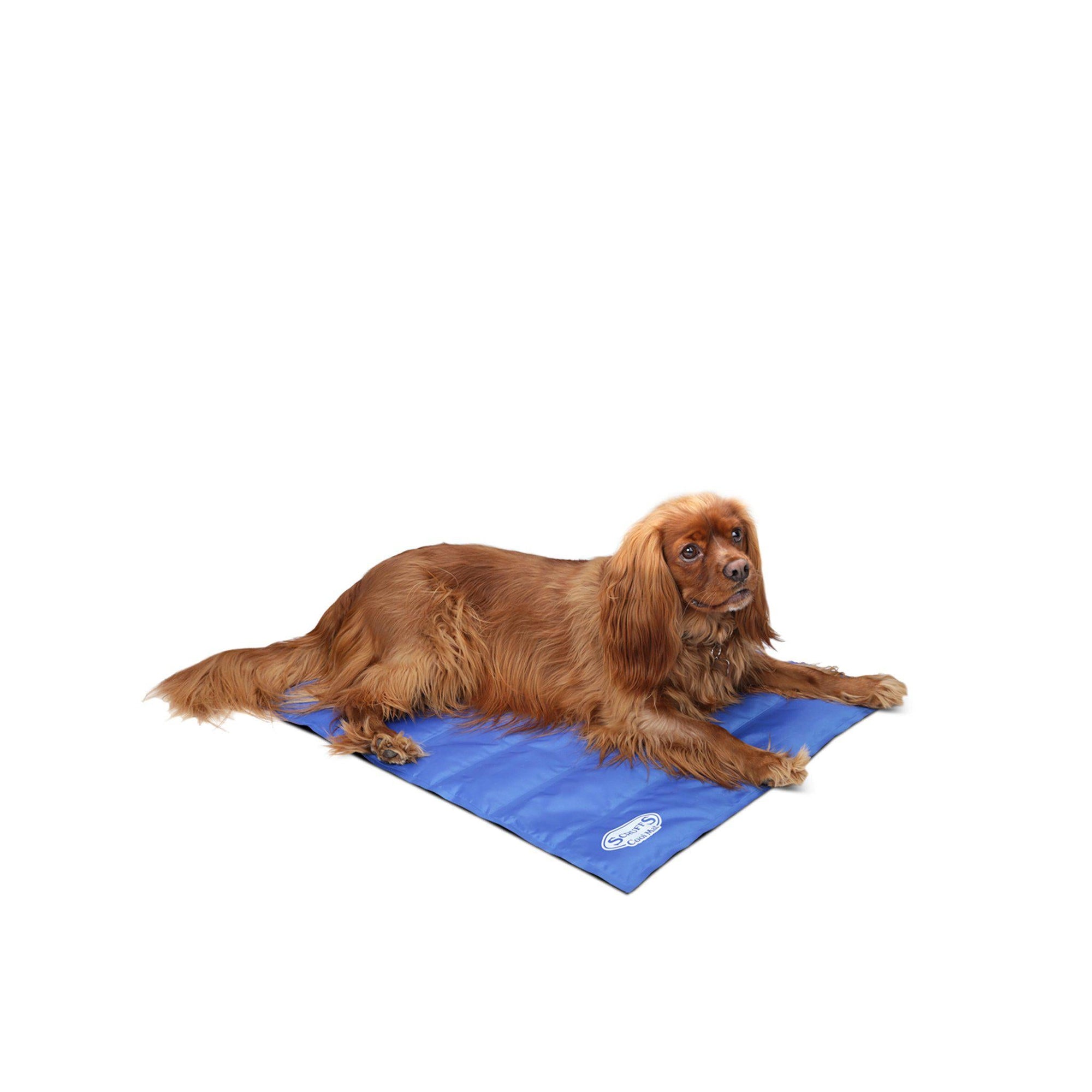 Scruffs Cooling Mat - ComfyPet Products