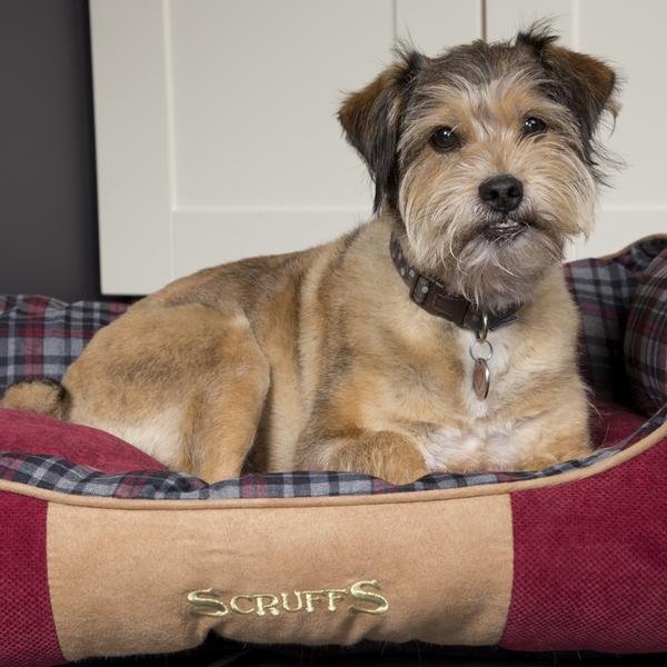 Scruffs Highland Box Bed - ComfyPet Products