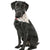 Scruffs - Insect Shield® Bandana's - ComfyPet Products