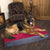 Scruffs ArmourDillo Robust Dog Bed - ComfyPet Products