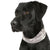 Scruffs - Insect Shield® Doggy Snood - ComfyPet Products